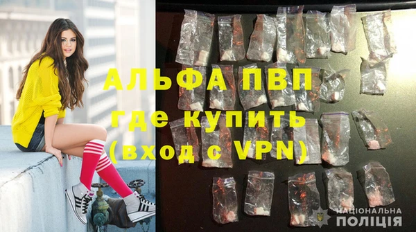 бошки Володарск