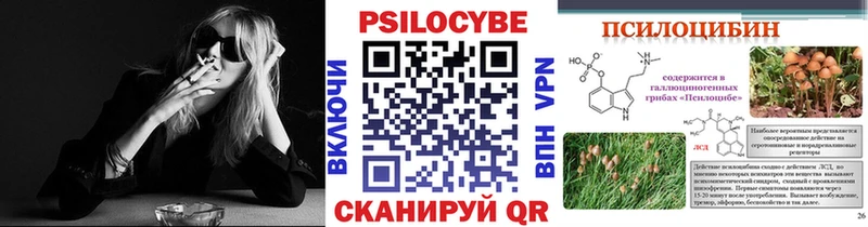Галлюциногенные грибы Psilocybine cubensis  Бердск 
